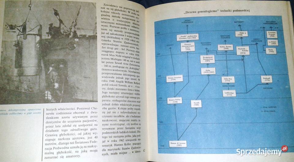 Tajemnice podmorskiego świata Piotr Oborski Chełm