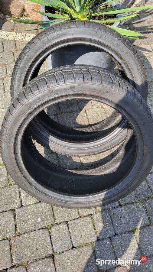 Opony zimowe Sunny 2054517