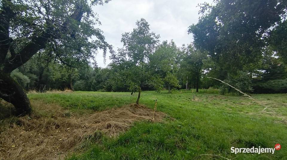 Działka budowlana Janowice powiat tarnowski gm prąd