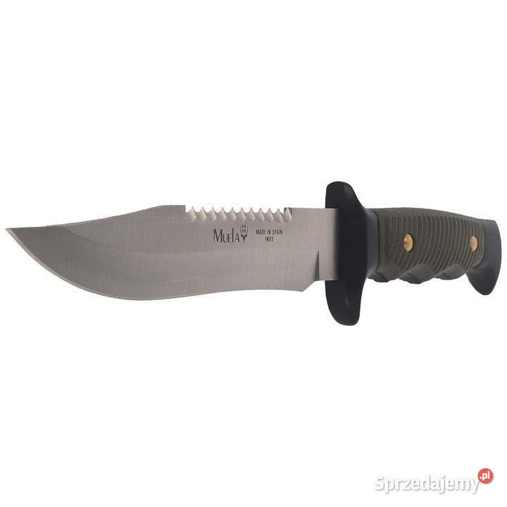 Nóż Muela 5161 Green ABS Satin 420H Warszawa