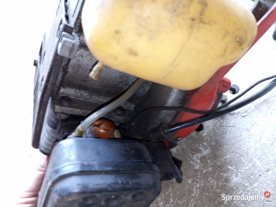 Kosa spalinowa Solo 123 Ogród Stalowa Wola