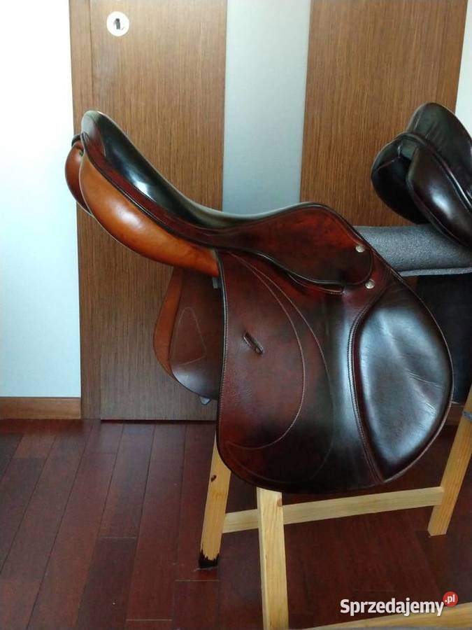 Siodło Equipe Expression 175 Łódź