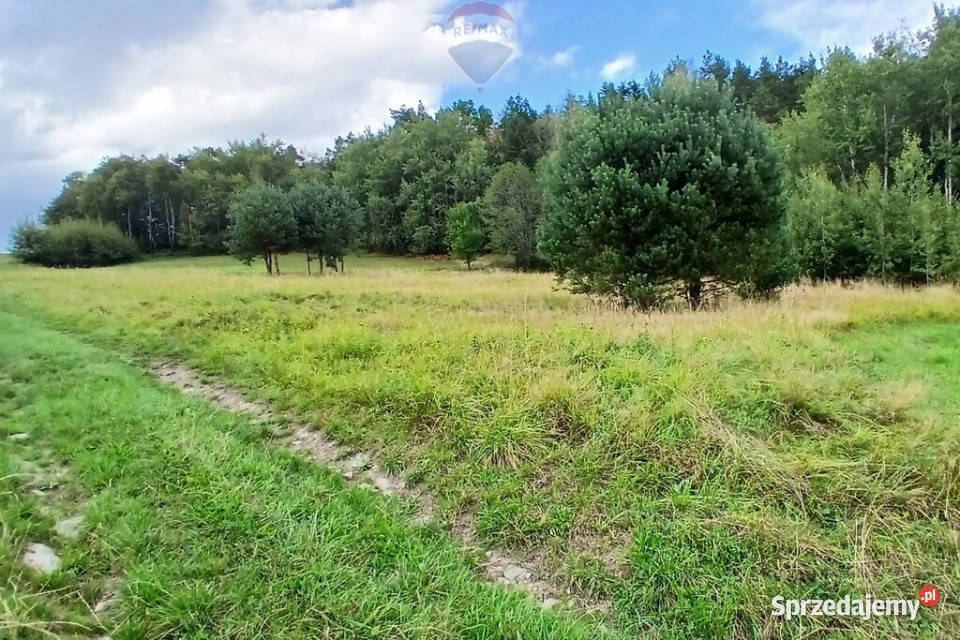 Działka 2100mwydana WZ Stara Wieś małopolskie