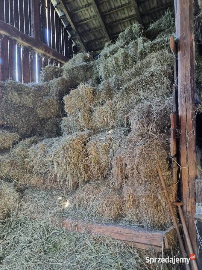 Siano z ładnej trawy Kończyce Wielkie
