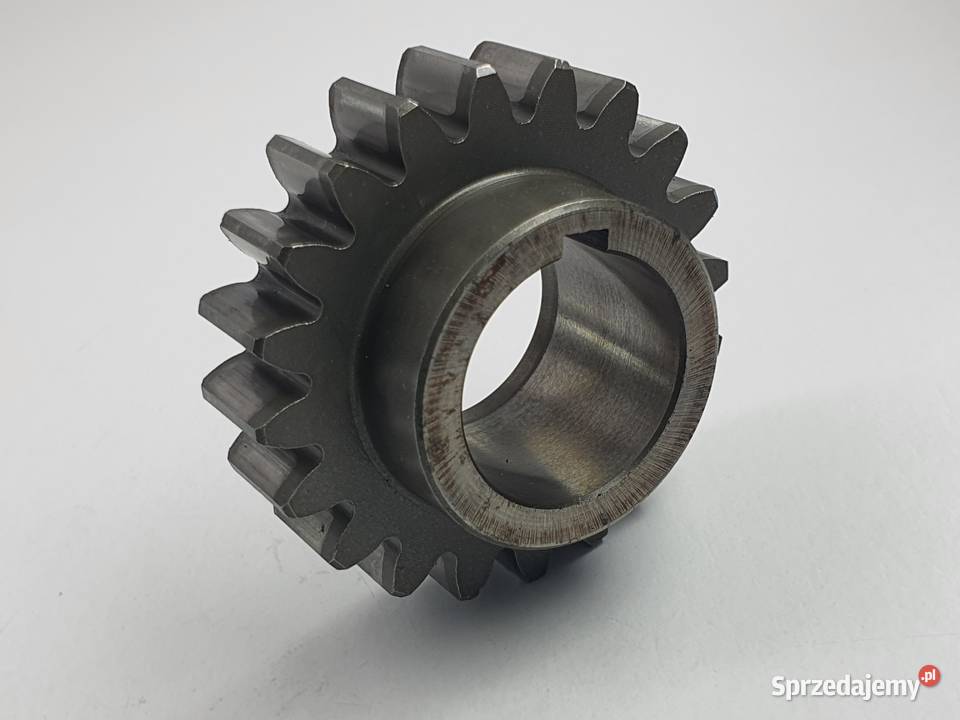 Tryb Walu Zebatka Tm Mx 250 Łódź