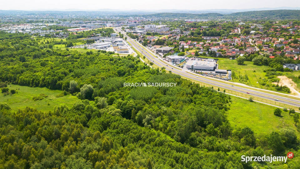 sprzedaży działki Kraków Jasnogóska 11673m2 gaz małopolskie sprzedam