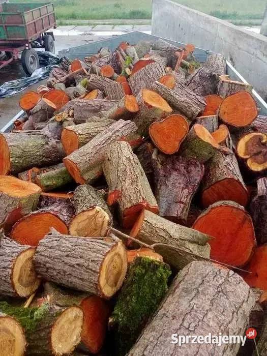 Drewno liściaste kominkowe opałowe mieszane 1 4L Łódź