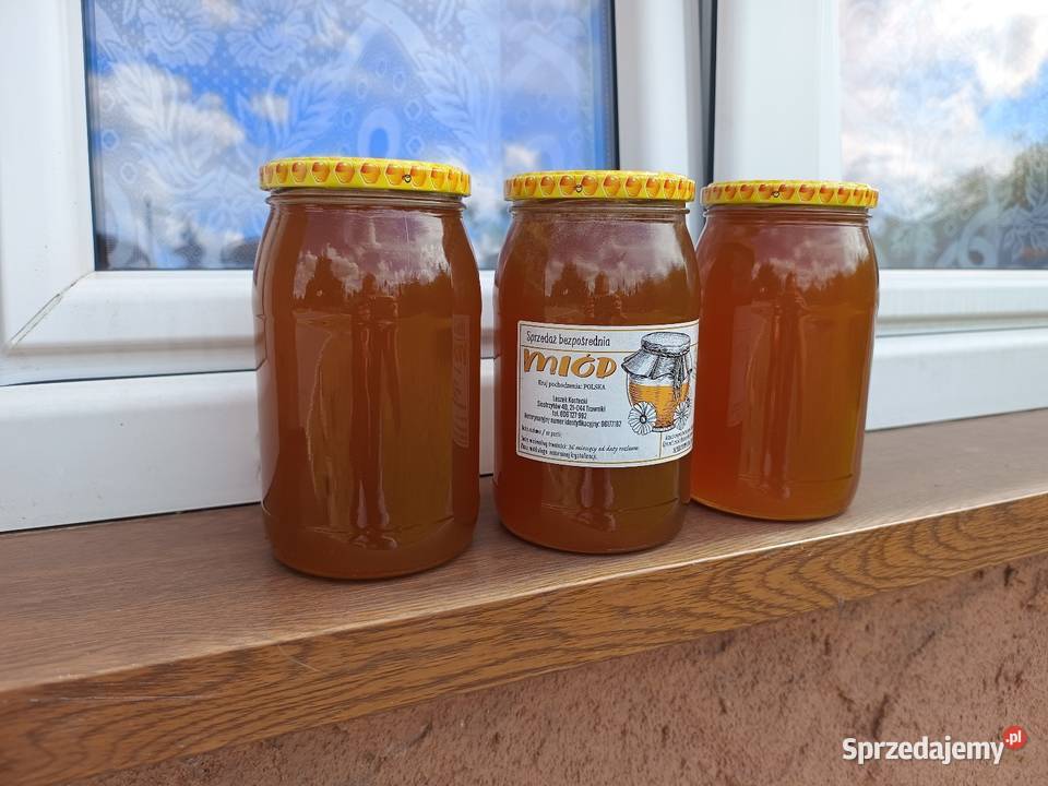 Miód Lipowy zbiór 2024r słoik 09L Świdnik