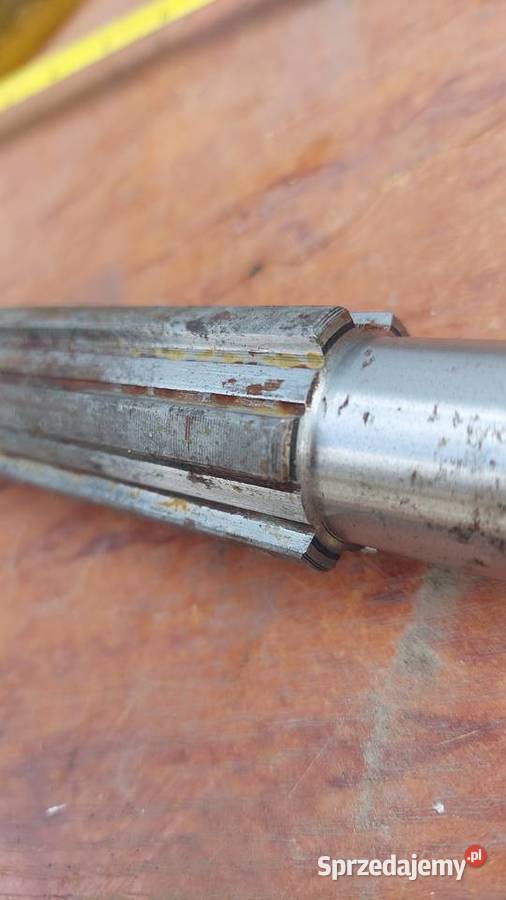 WAŁEK POŚREDNI do DZIKA DZIK nieużywany stan opolskie Otmuchów