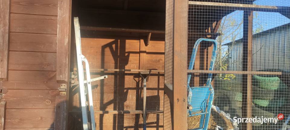Sprzedam Gołębnik sprzedam