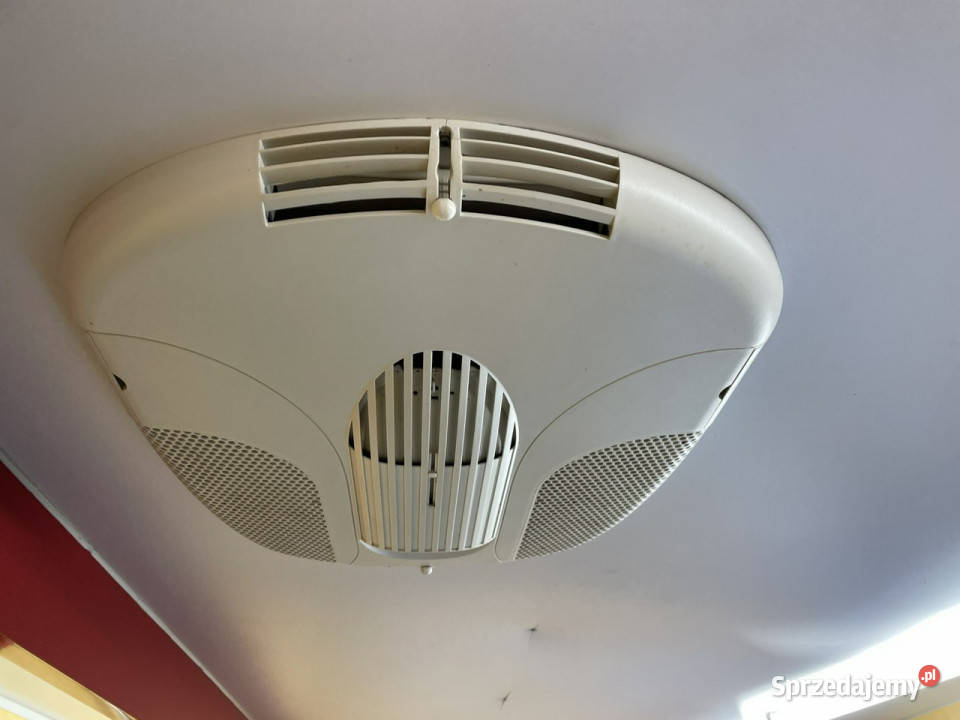 Renault Master Autosklep wędlin Gastronomiczny Renault dolnośląskie Syców