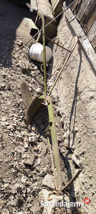 Stare konne redło Główczyce