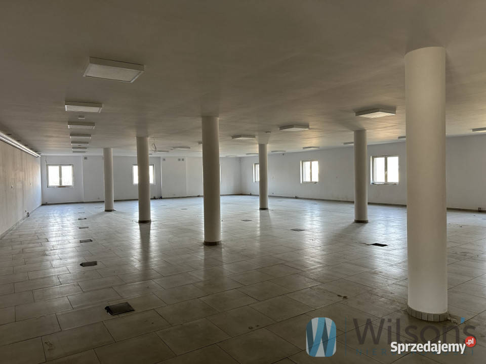wynajmu lokalu 549m2 Milejowice Jaworowa