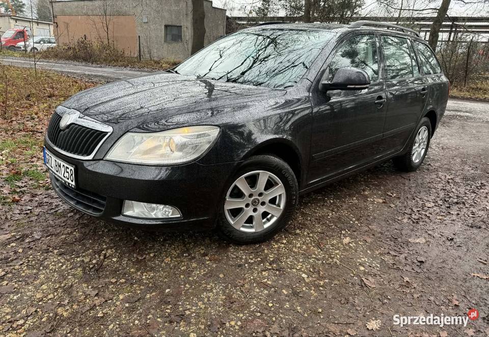 Skodę Oktawie 2 19tdi Opole