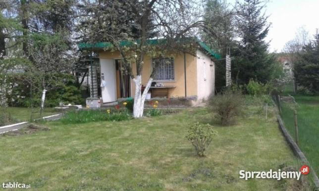 Działka pracownicza rekreacyjna Łódź Konstantynó rekreacyjna Łódź