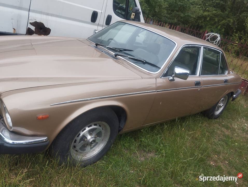 Sprzedam daimler jaguar v12 łódzkie Tomaszów Mazowiecki sprzedam