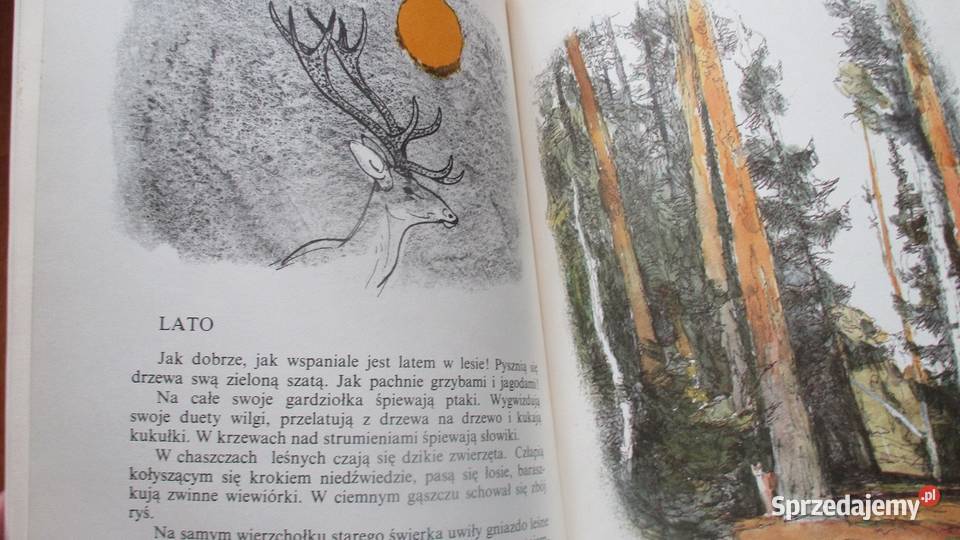 Ksiązki przyrodnicze przyroda las Bianki Łódź