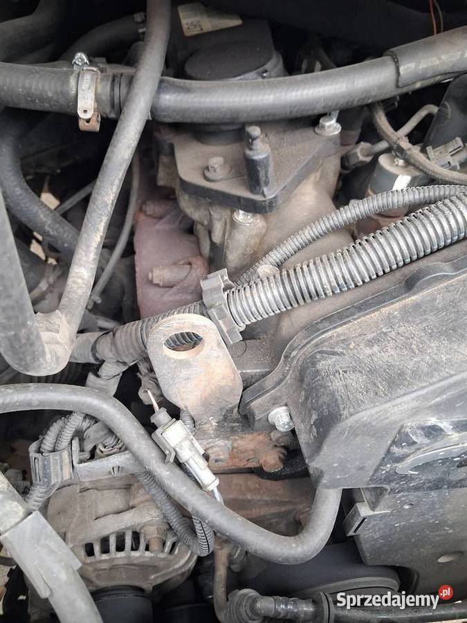 Silnik iveco daily 23 Iveco Kolbuszowa