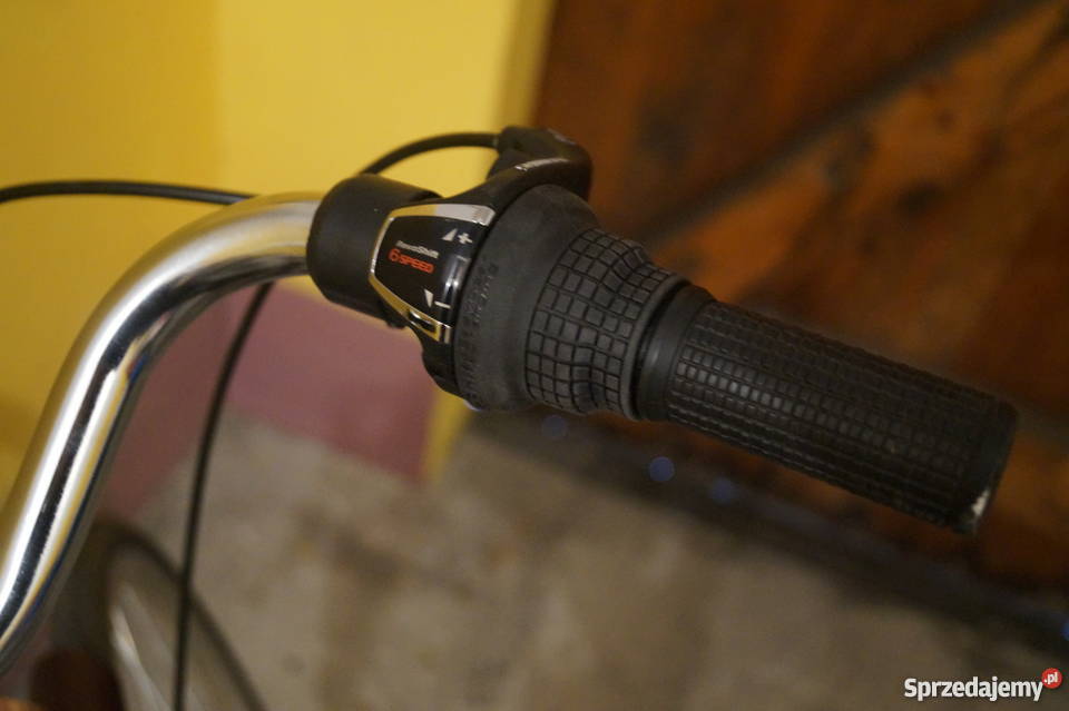 Rower Delta miejski 28 koła Gniezno