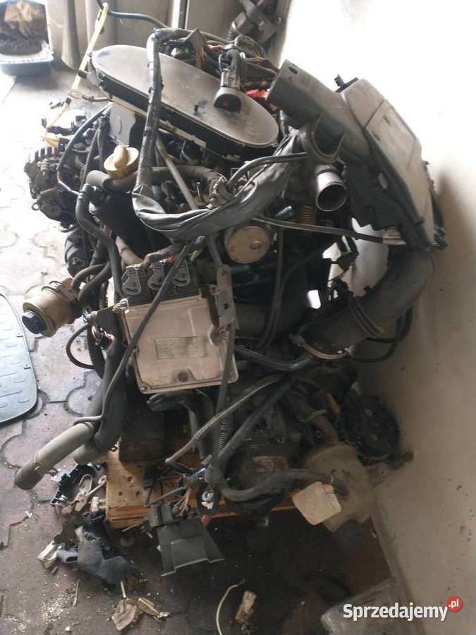 Scenic silnik 19 dCi Motoryzacja Zendek sprzedam