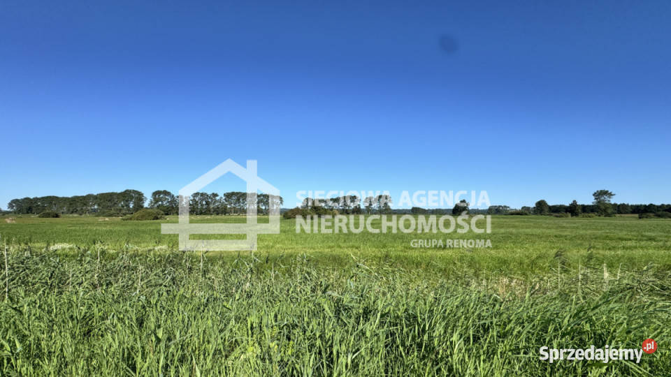 Do sprzedaży działka Kazimierz 20171m2