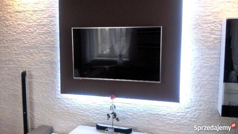 Kamień dekoracyjny Naścienny Płytki ścienne Ściany i elewacje Leszno sprzedam