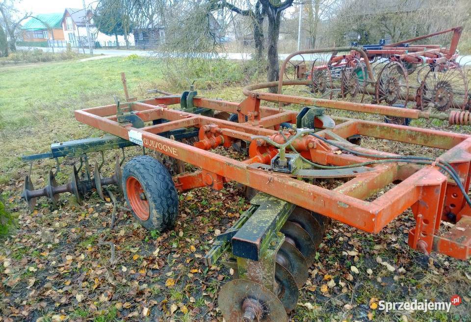 Talerzuwka Lipsk sprzedam