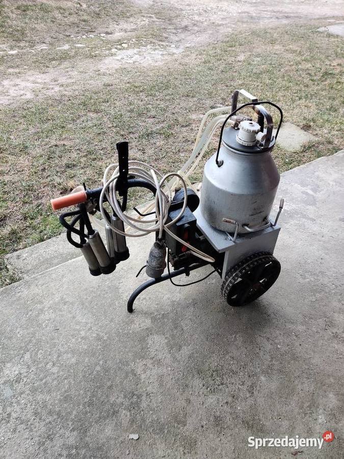 Dojarka konwiowa Morzyczyn sprzedam