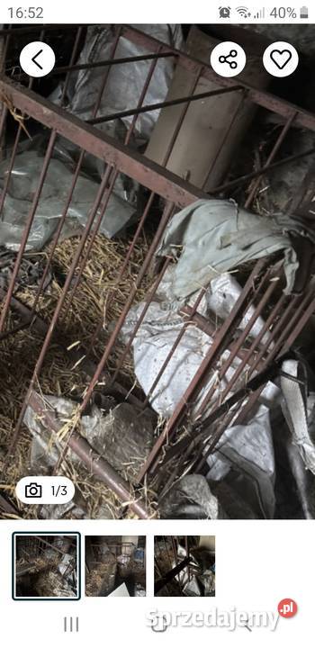 Klatka do transportu świń Stara Krobia