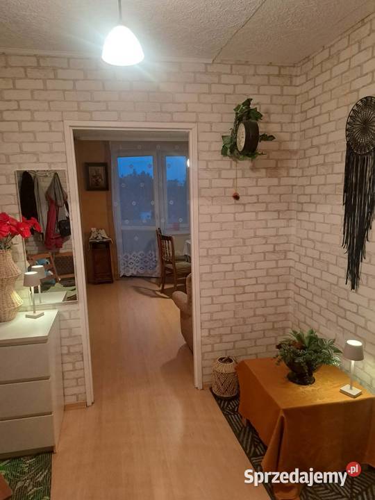 Mieszkanie w bloku dom nieruchomości spółdzielcze własnościowe Sprzedaż
