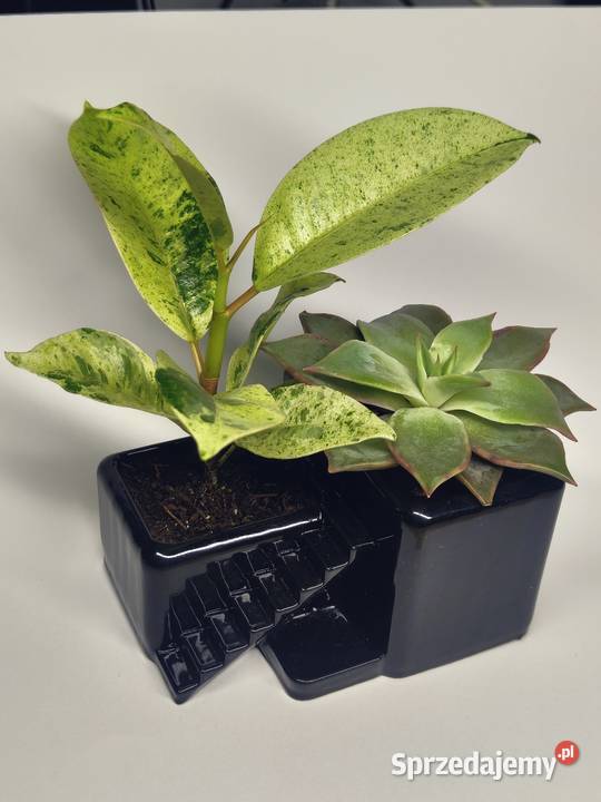 Donicze samoróbka wielkopolskie Obrzycko sprzedam