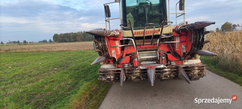 Kemper 345 Sieczkarnia CLAAS Jaguar Sierpc