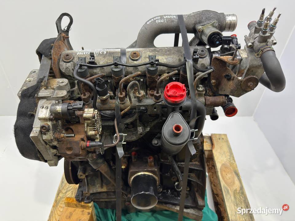 SILNIK F9Q760 Renault Trafic 19 DCI 101 pompa Chełm