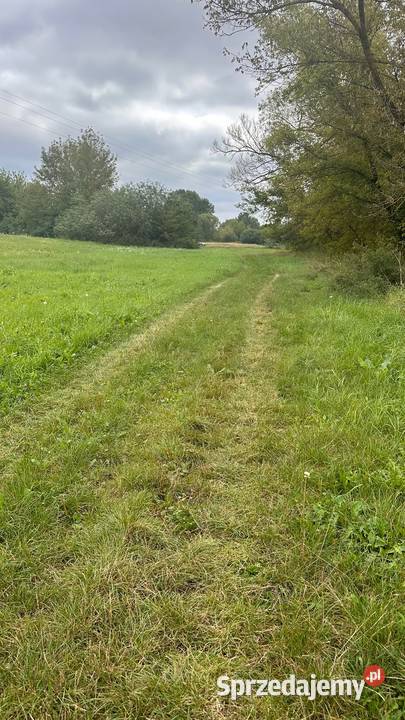 Działka Tarnów Wilga Sprzedaż