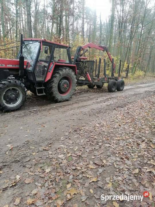 Przyczepa leśna hds Orchowo sprzedam