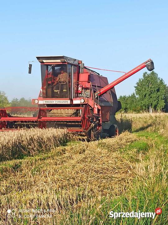 Massey Ferguson 24 nieuszkodzony Kielce