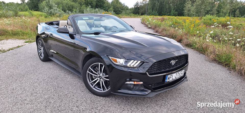 Ford Mustang Cabrio 2017 benzyna Płock