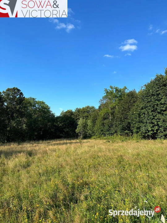 Piękne działki budowlane przełęczy Kowarskiej utwardzona Sprzedaż Leszczyniec