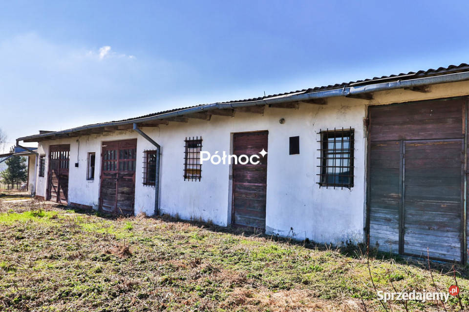 Siedlisko 50 ar Sielec dom zabudowania Sprzedaż lubelskie sprzedam