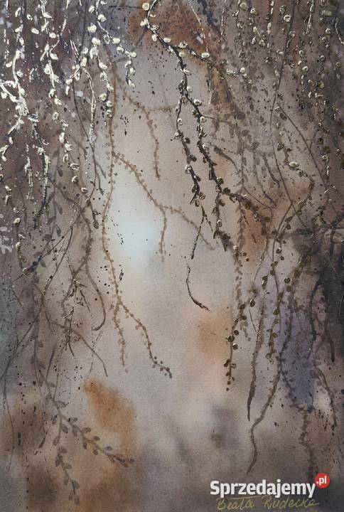 Akwarela Akwarelka Obraz pt Zaczarowany Ogród 2 Olchowiec