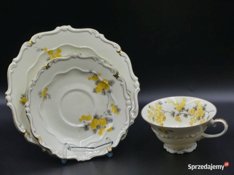 Komplet śniadaniowy Sorau Żary żółte Mimozy Poznań