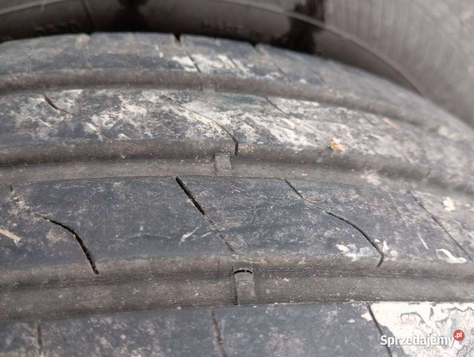 Opony i alusy 15 Sąspów