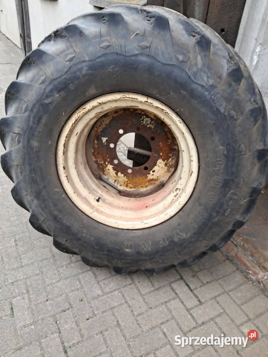 Koło do Bizona wielkopolskie Krotoszyn