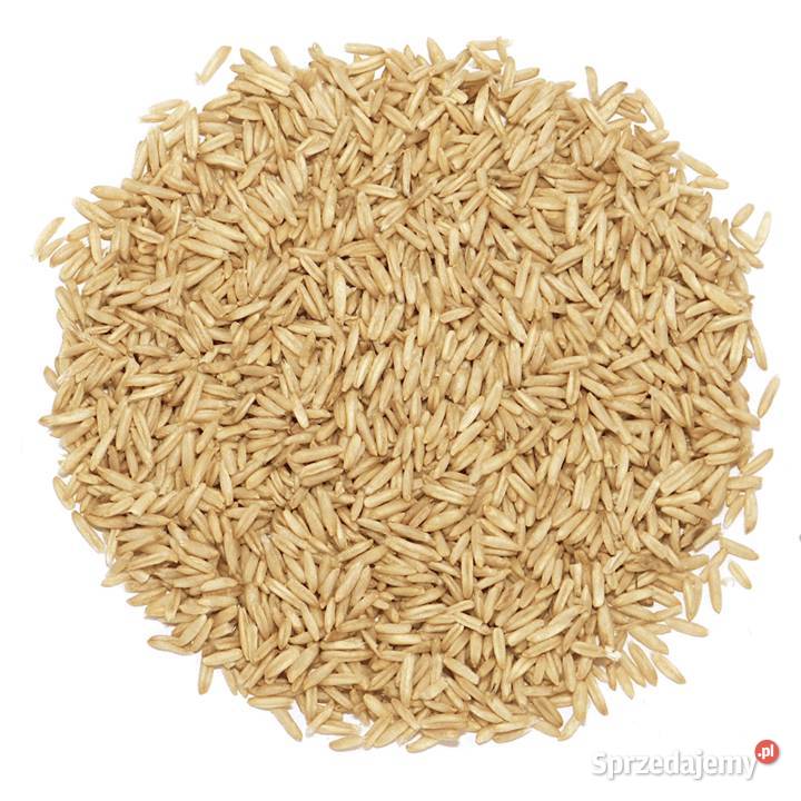 OWIES dolnośląskie Nowa Wieś Lubińska