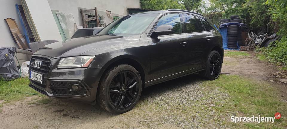 Audi SQ5 30 tfsi Quattro 354 konie Premium Plus 3000cm3 śląskie