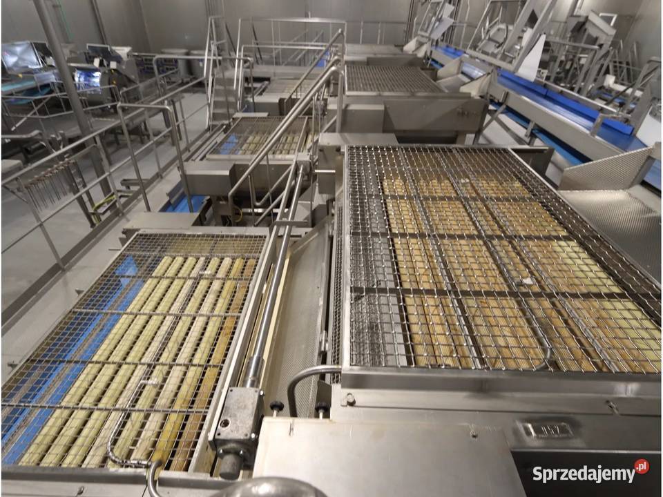 Sortownik Urządzenie do sortowania ziemniaków ze Krotoszyn