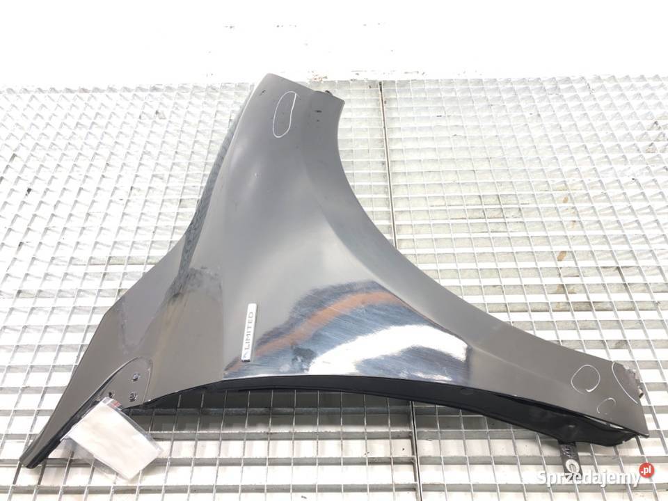 BŁOTNIK PRZÓD PRAWY RENAULT MEGANE III Hatchback