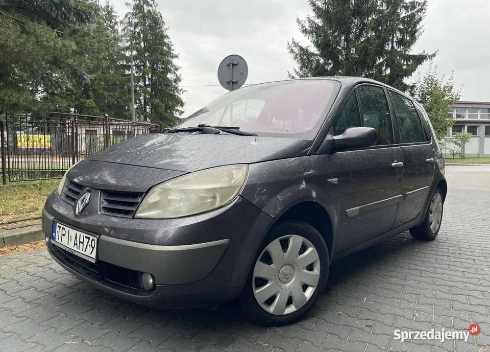 Renault Megane Scenic 19DCI 115 HAK Rok produkcji 2003 świętokrzyskie