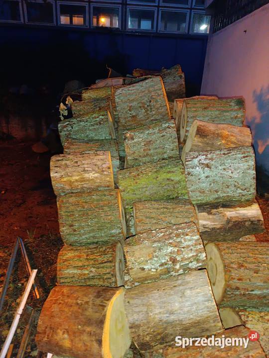 Sprzedam drewno sosnowe Suche 230 lubuskie Bojadła
