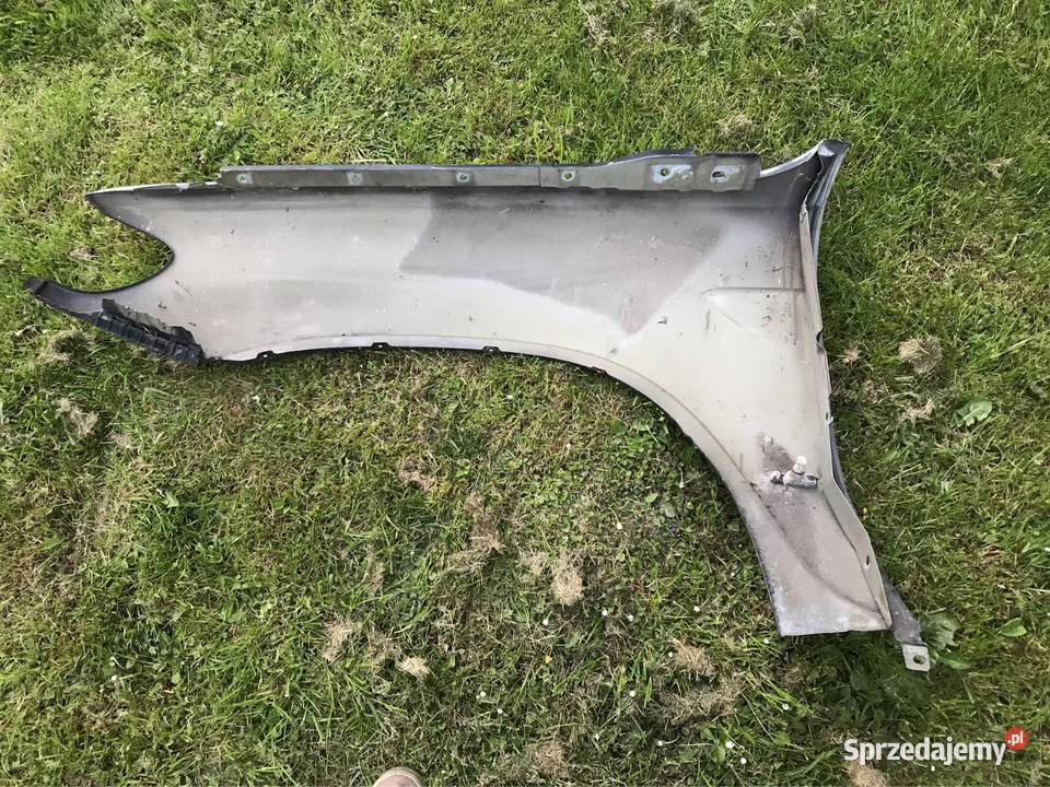 Blotnik prawy BMW X5 e53 Kozy